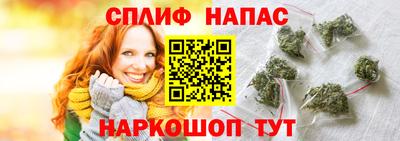 стафф Нальчик