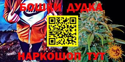 стафф Нальчик