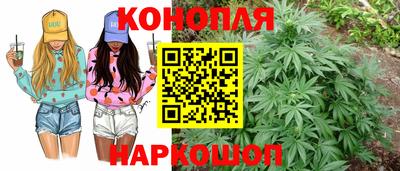 стафф Нальчик