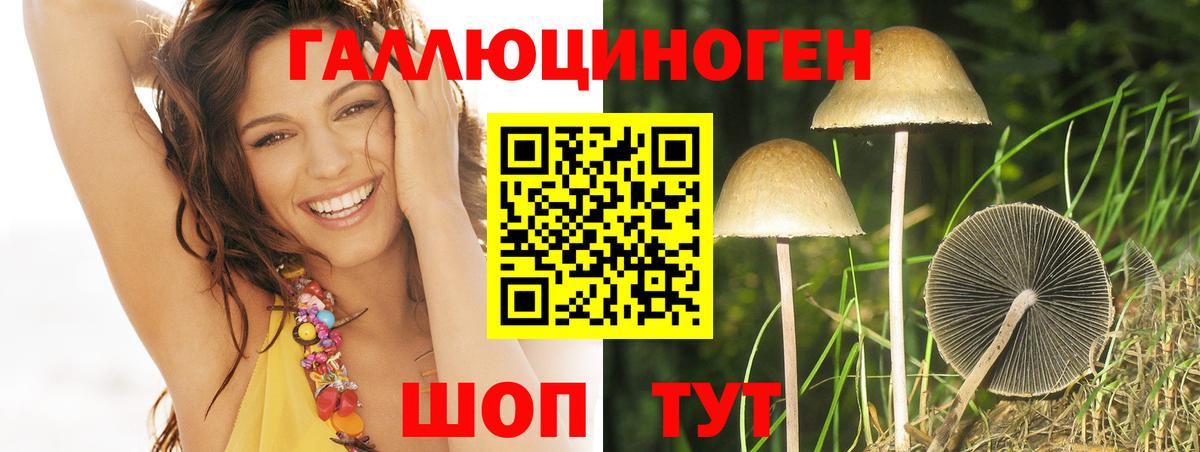 Галлюциногенные грибы прущие грибы Новороссийск