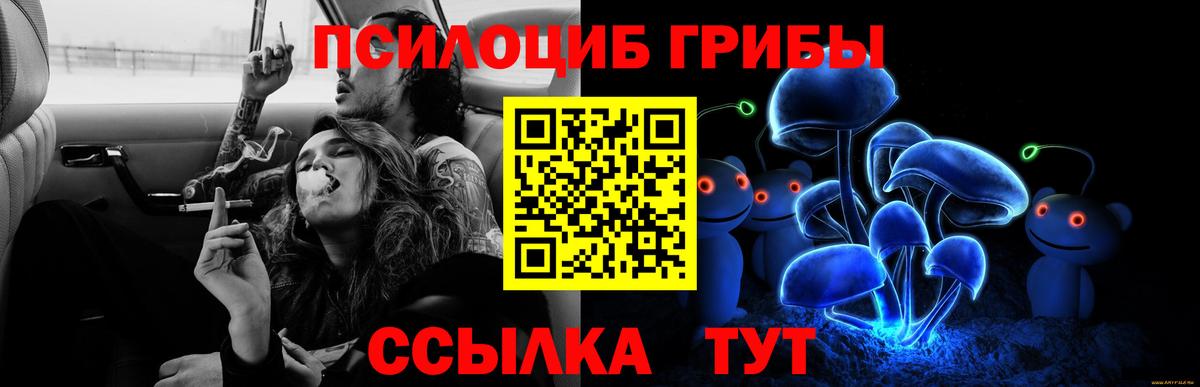 Галлюциногенные грибы Magic Shrooms  Вход с VPN  Новороссийск 